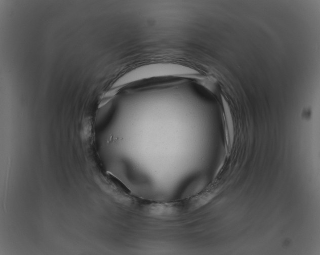 X0000091980284200710041116