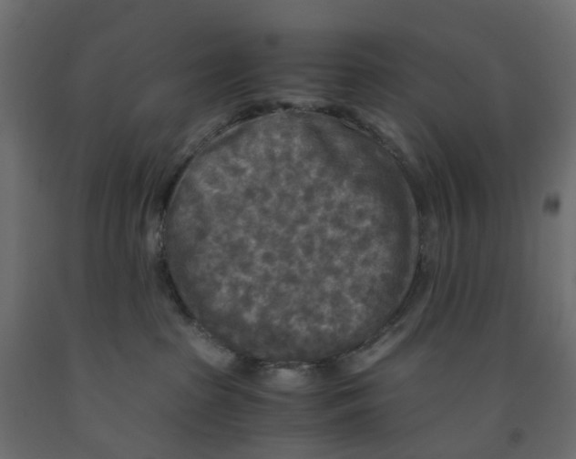 X0000091980285200710041116