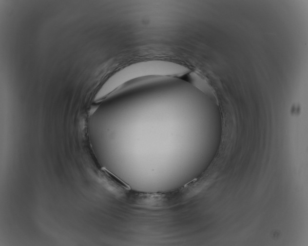 X0000091980288200710041116