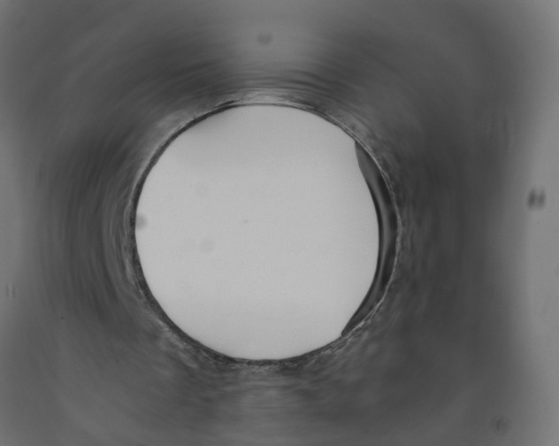 X0000091980289200710041115
