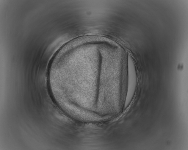 X0000091980290200710041115