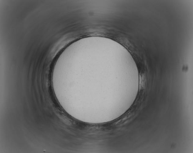 X0000091980291200710041115
