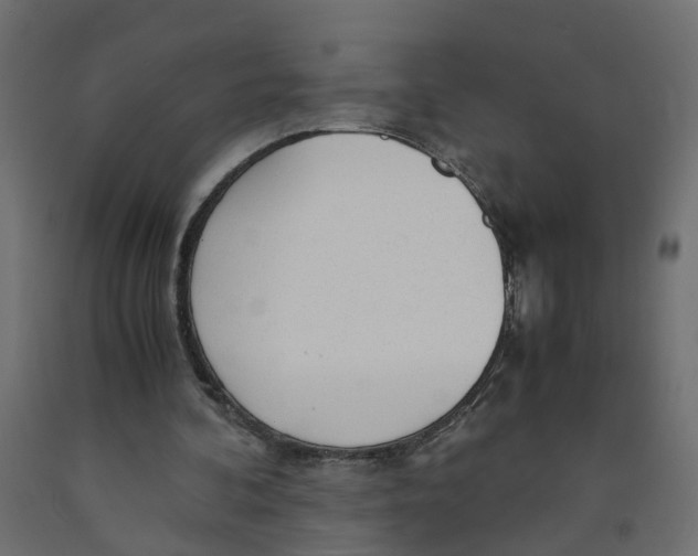 X0000091980292200710041115