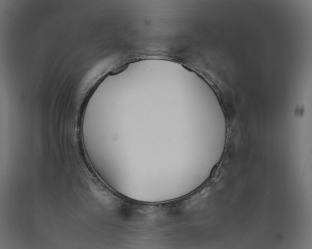 X0000091980293200710041115