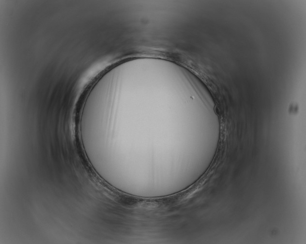 X0000091980294200710041115