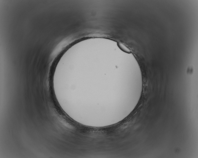X0000091980296200710041115