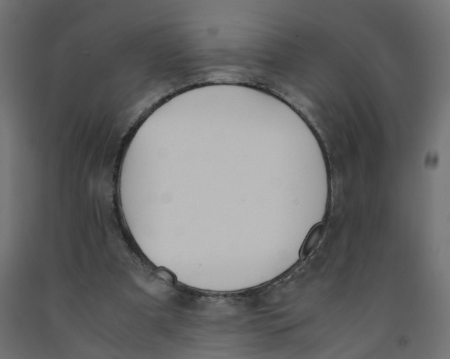 X0000091980297200710041115