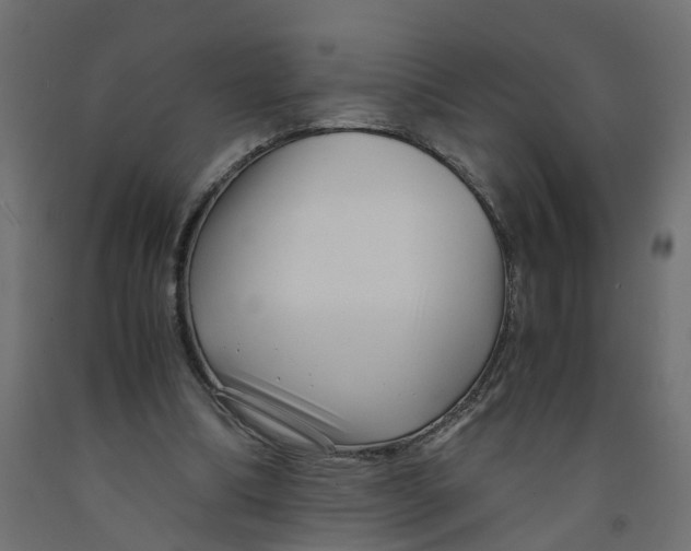 X0000091980298200710041115