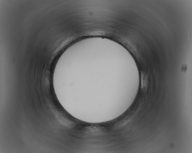 X0000091980300200710041115
