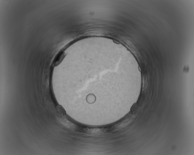 X0000091980301200710041115