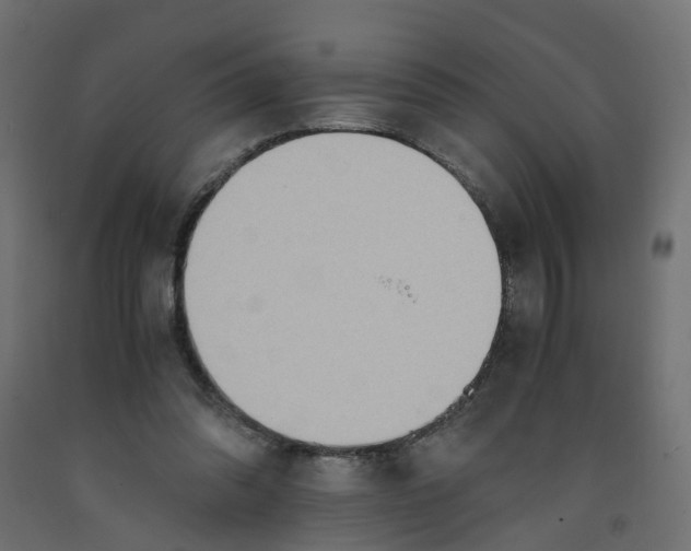 X0000091980302200710041115