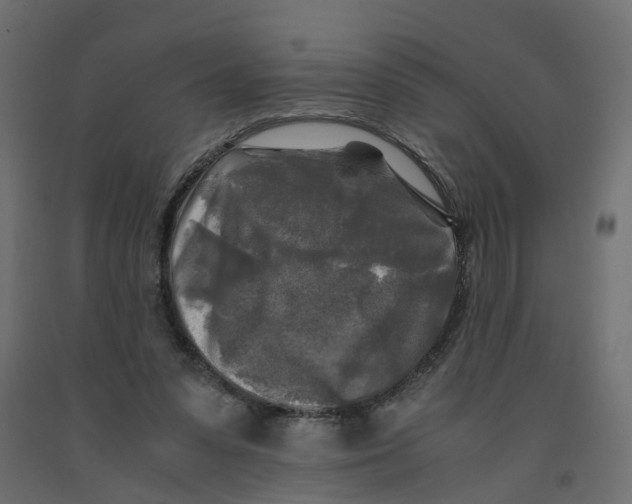X0000091980303200710041115