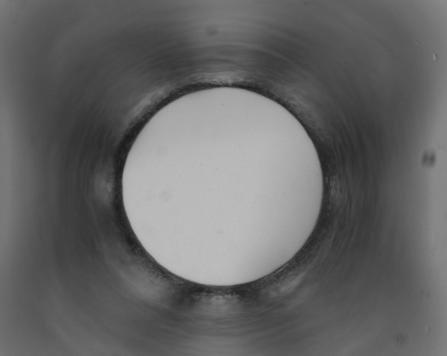 X0000091980304200710041115