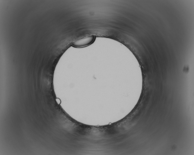 X0000091980305200710041115