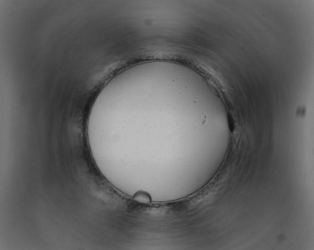 X0000091980306200710041115