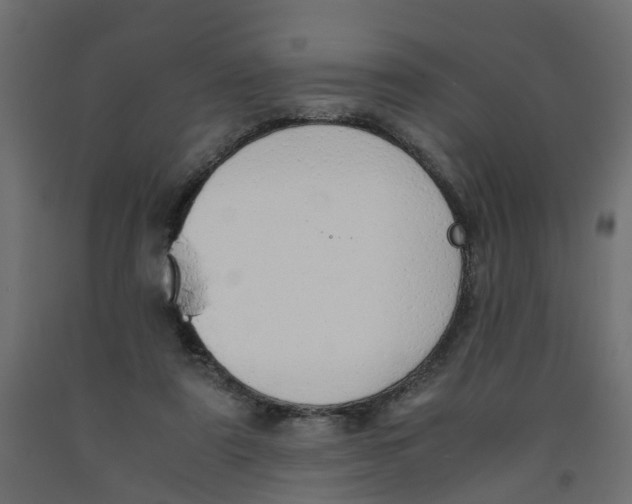 X0000091980307200710041115
