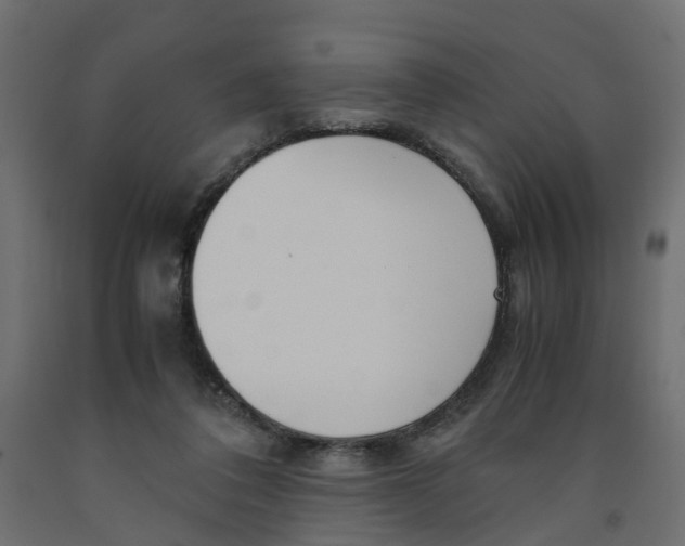 X0000091980308200710041115