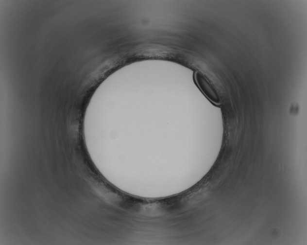 X0000091980309200710041115