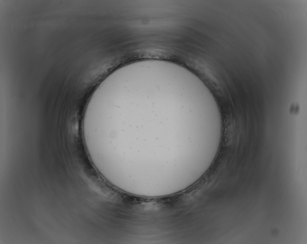 X0000091980310200710041115