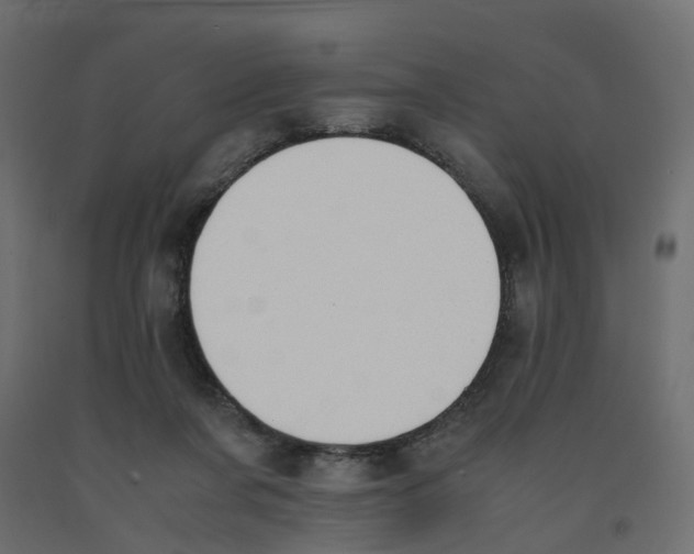 X0000091980311200710041115