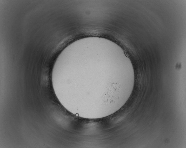 X0000091980312200710041115