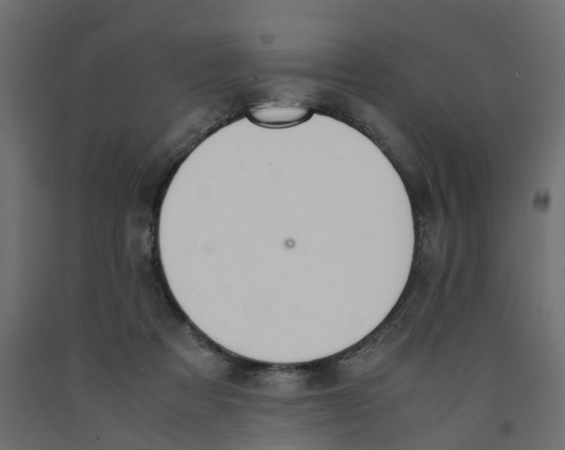 X0000091980313200710041115