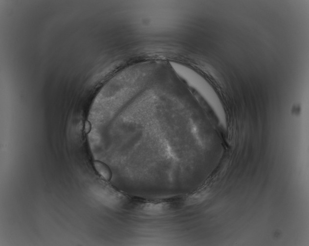 X0000091980314200710041115