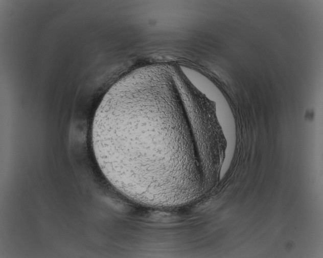 X0000091980315200710041115