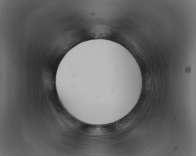 X0000091980316200710041115