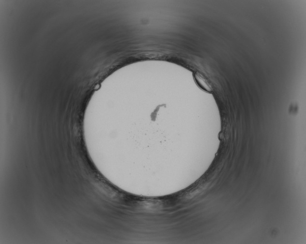 X0000091980317200710041115