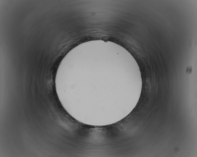 X0000091980320200710041115