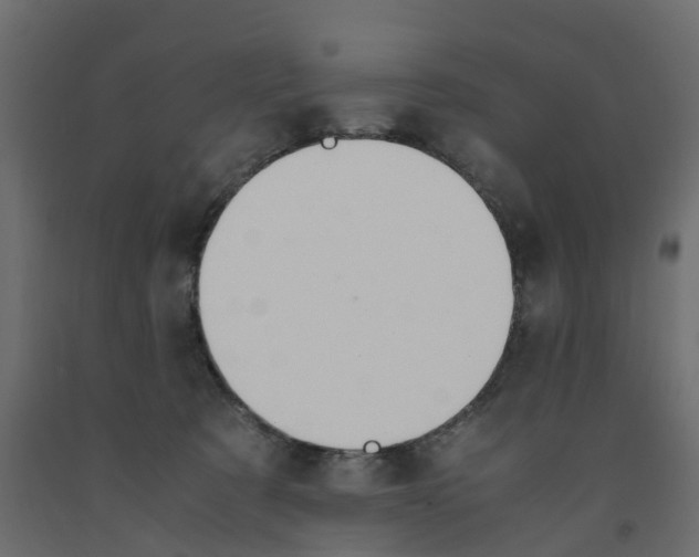 X0000091980321200710041115