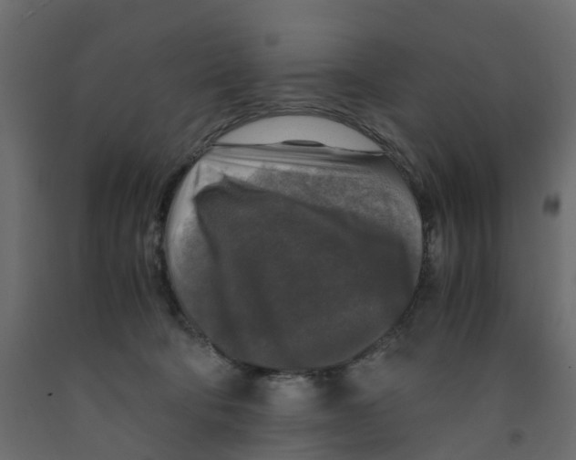 X0000091980322200710041115