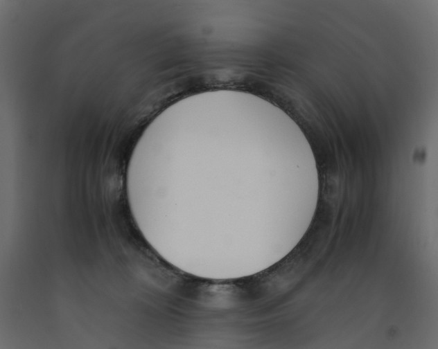 X0000091980324200710041115