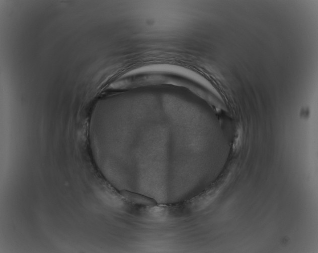 X0000091980325200710041115
