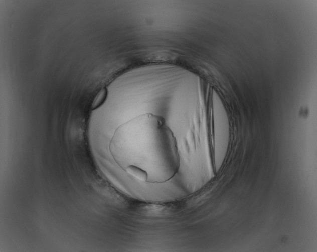 X0000091980326200710041115