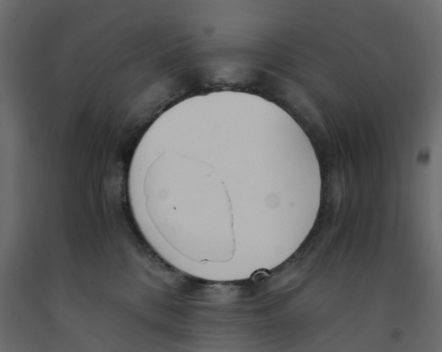 X0000091980328200710041115