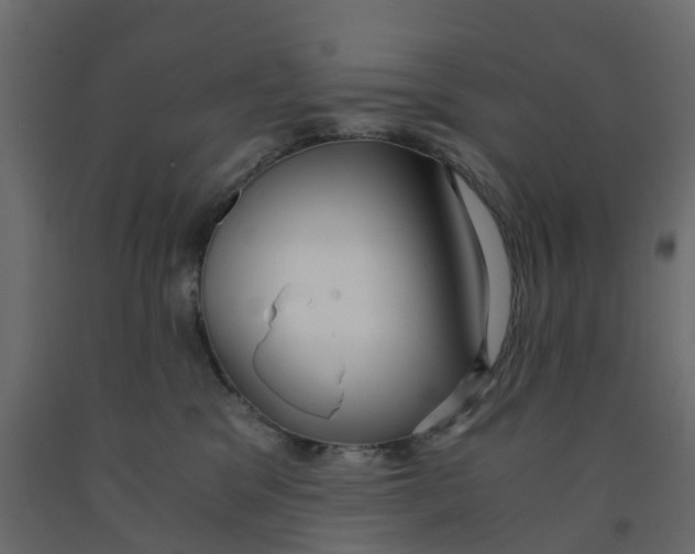 X0000091980329200710041115