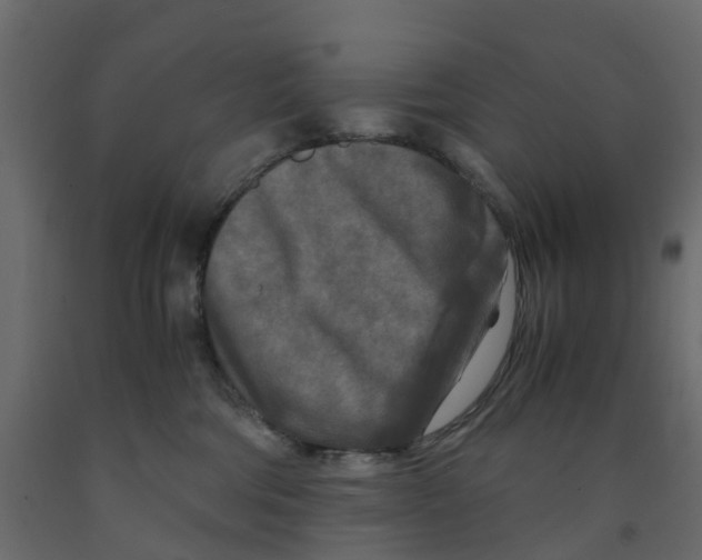 X0000091980330200710041115