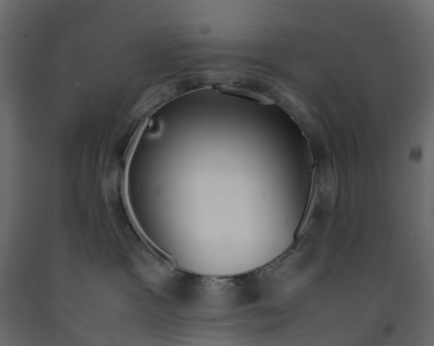 X0000091980333200710041115