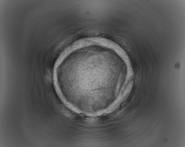 X0000091980335200710041115