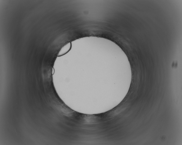 X0000091980336200710041115