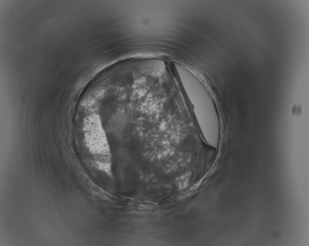 X0000091980337200710041114