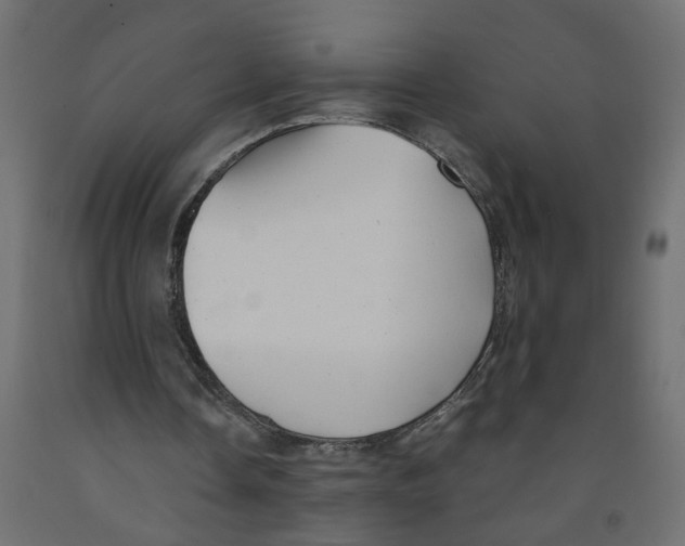 X0000091980338200710041114