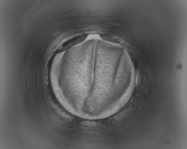 X0000091980339200710041114