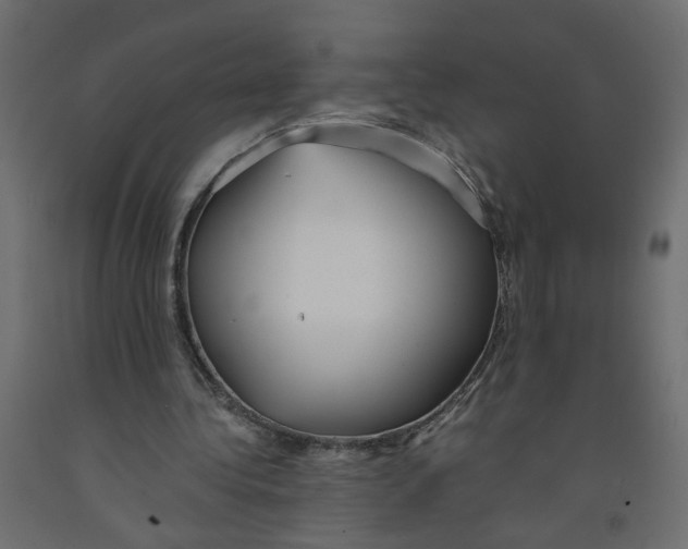 X0000091980340200710041114
