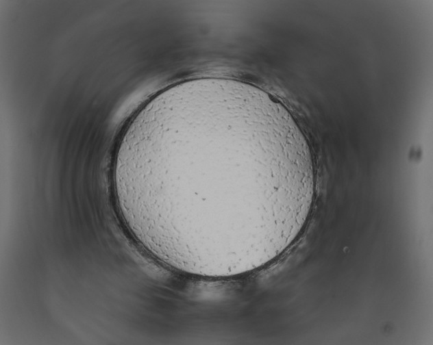 X0000091980341200710041114