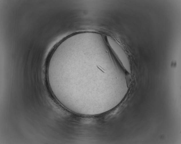 X0000091980342200710041114