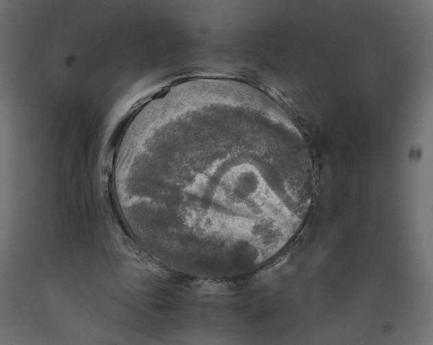 X0000091980343200710041114