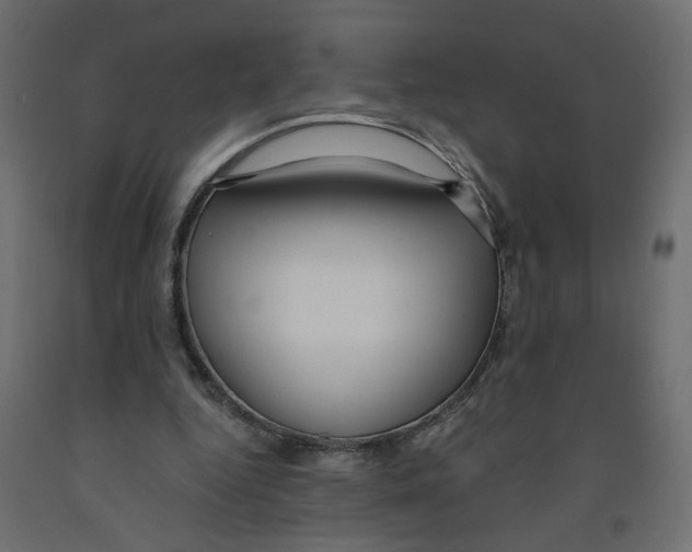 X0000091980344200710041114